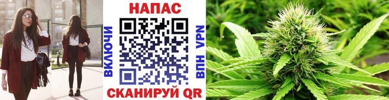 Купить наркотик аптеки Тогучин Галлюциногенные грибы Alpha PVP Меф COCAIN АМФЕТАМИН