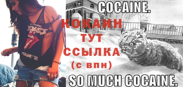 jwh Белокуриха